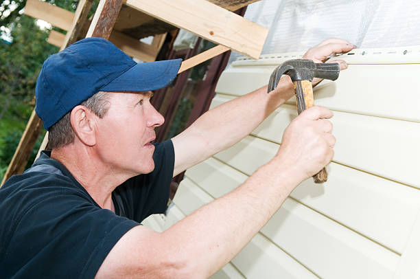 Best Vinyl Siding Installation  in Deerfield, IL